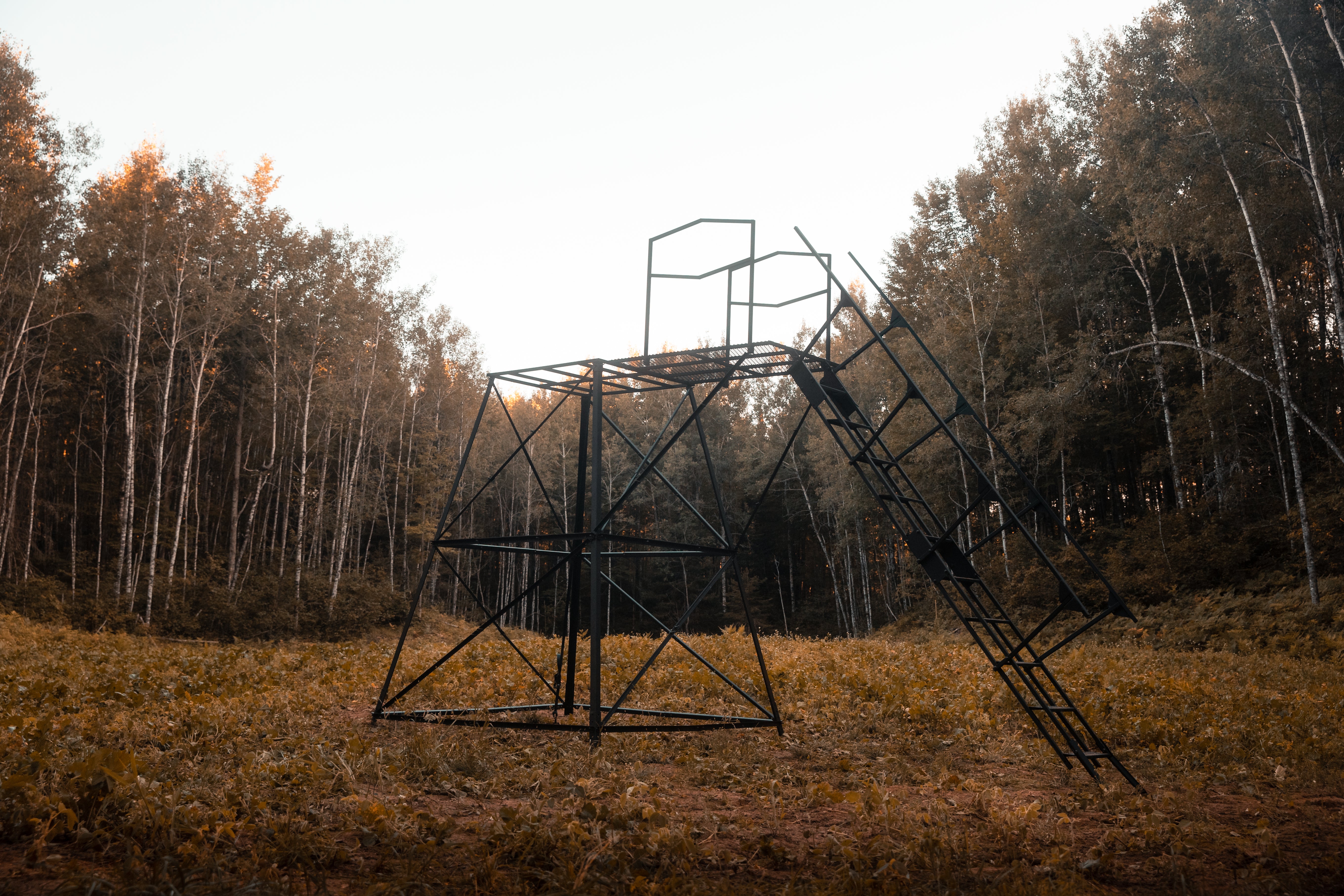 Elevated Deer Stands
