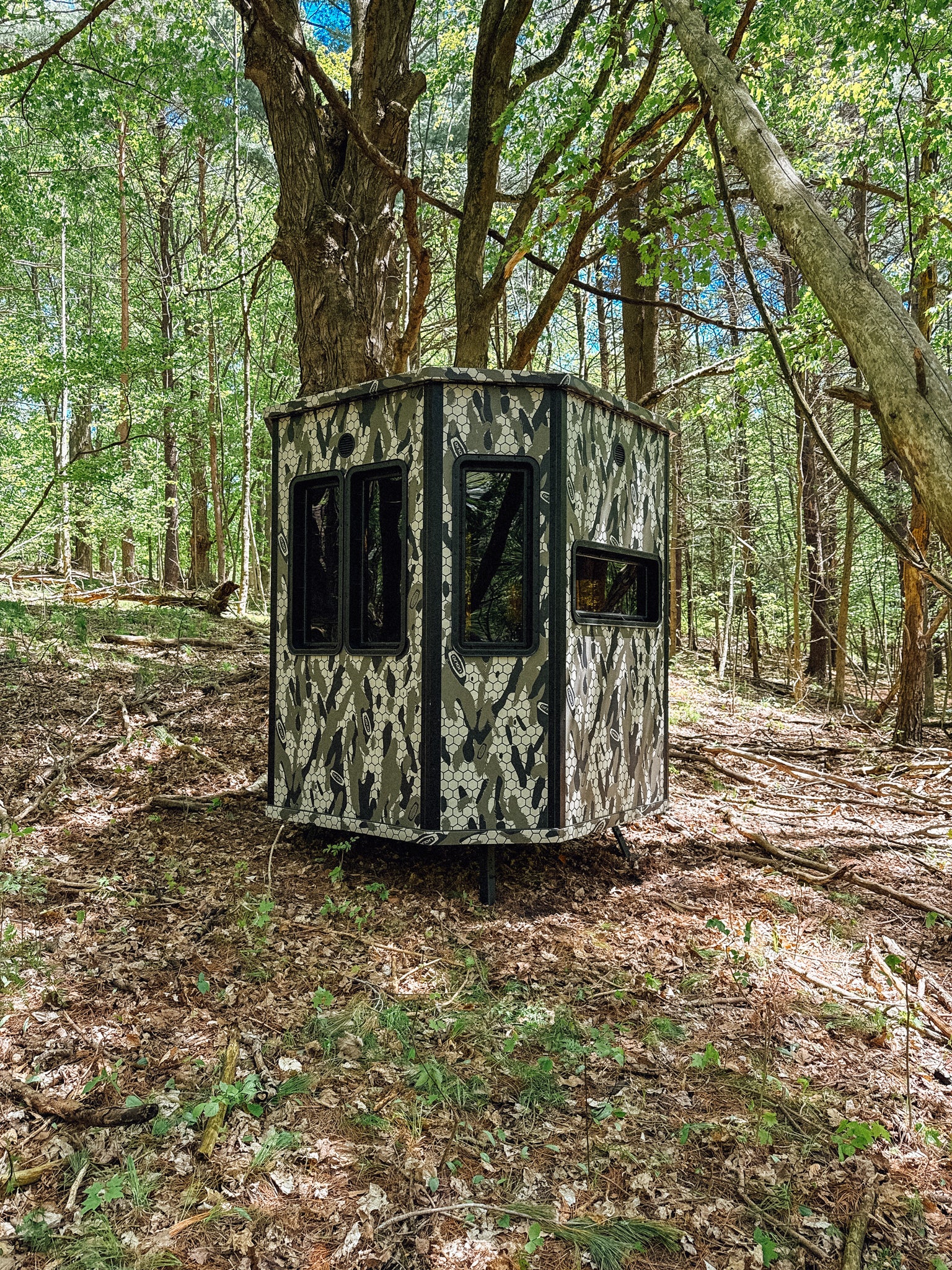 Orion 68vt modular deer blind in wooded area